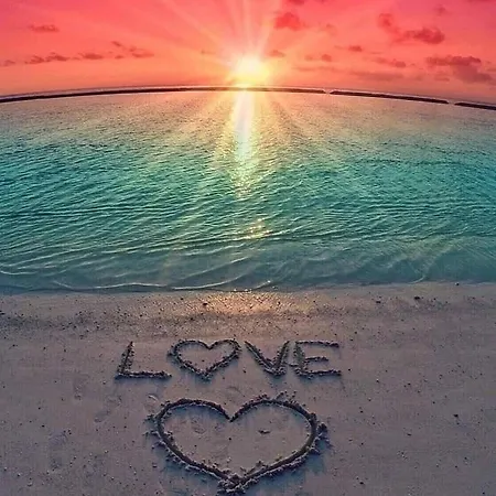 Apartment City-centre 1